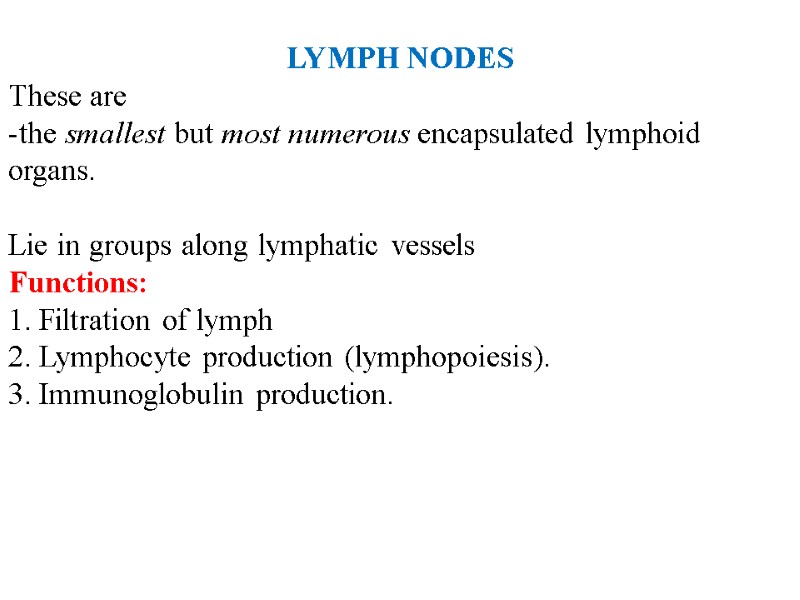LYMPH NODES These are  the smallest but most numerous encapsulated lymphoid organs. 